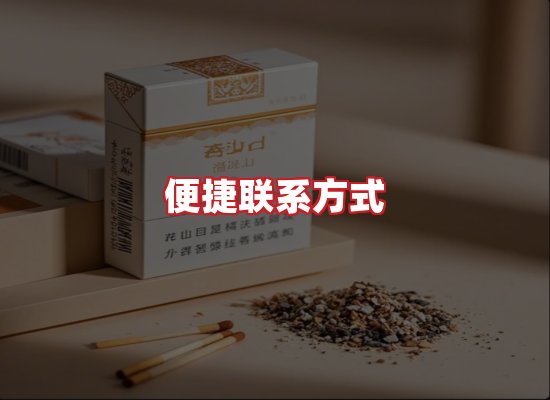 专业团队